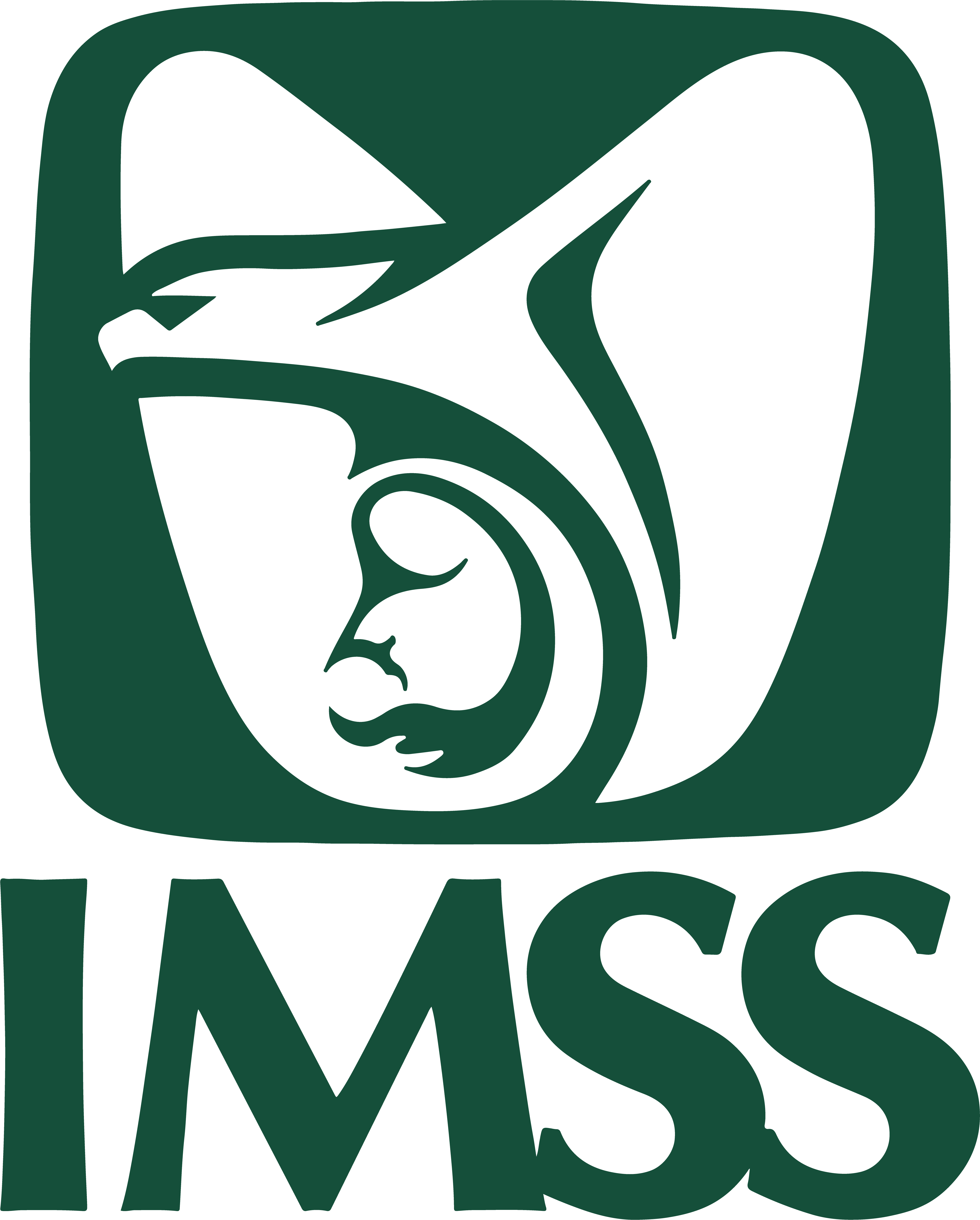 Logo IMSS